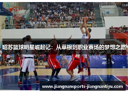 昭苏篮球明星崛起记：从草根到职业赛场的梦想之路